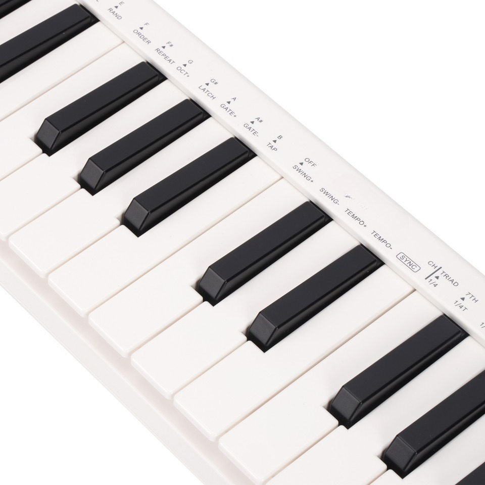 คอนโทรลเลอร์ MIDI 25 คีย์, คีย - A Musical Instrument With Keys บทวิจารณ์และราคา