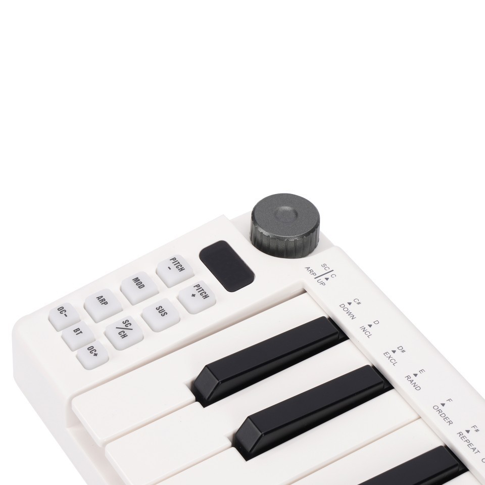 คอนโทรลเลอร์ MIDI 25 คีย์, คีย - A Musical Instrument With Keys บทวิจารณ์และราคา