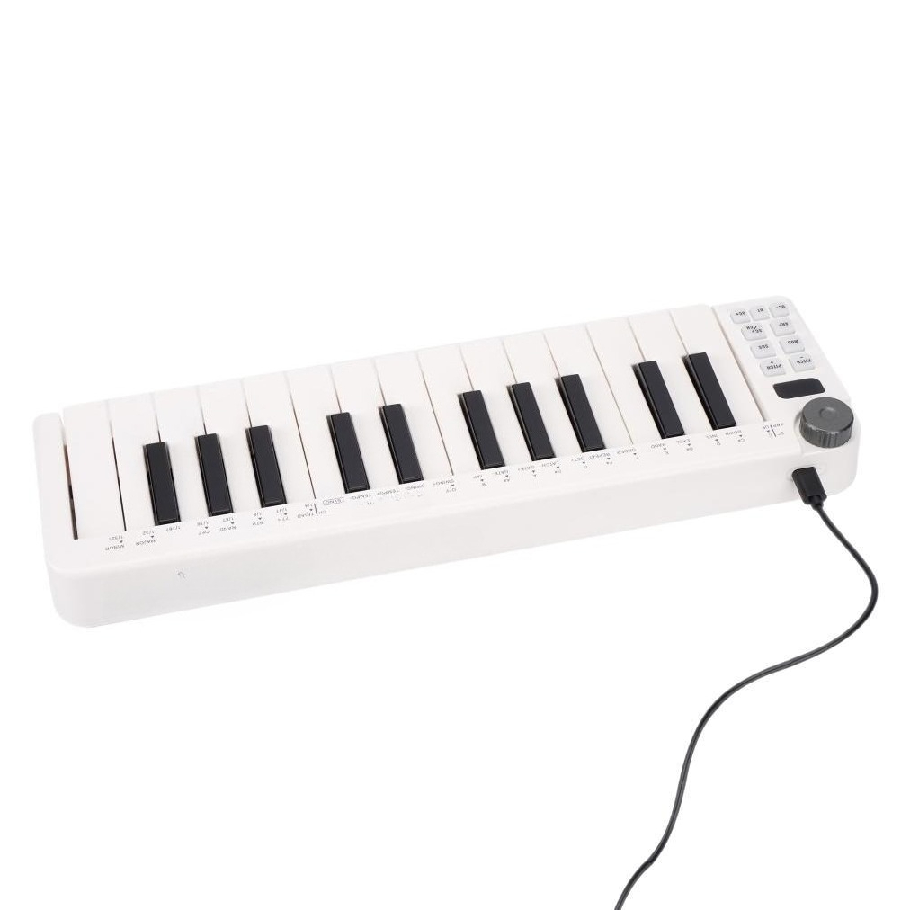 คอนโทรลเลอร์ MIDI 25 คีย์, คีย - A Musical Instrument With Keys บทวิจารณ์และราคา