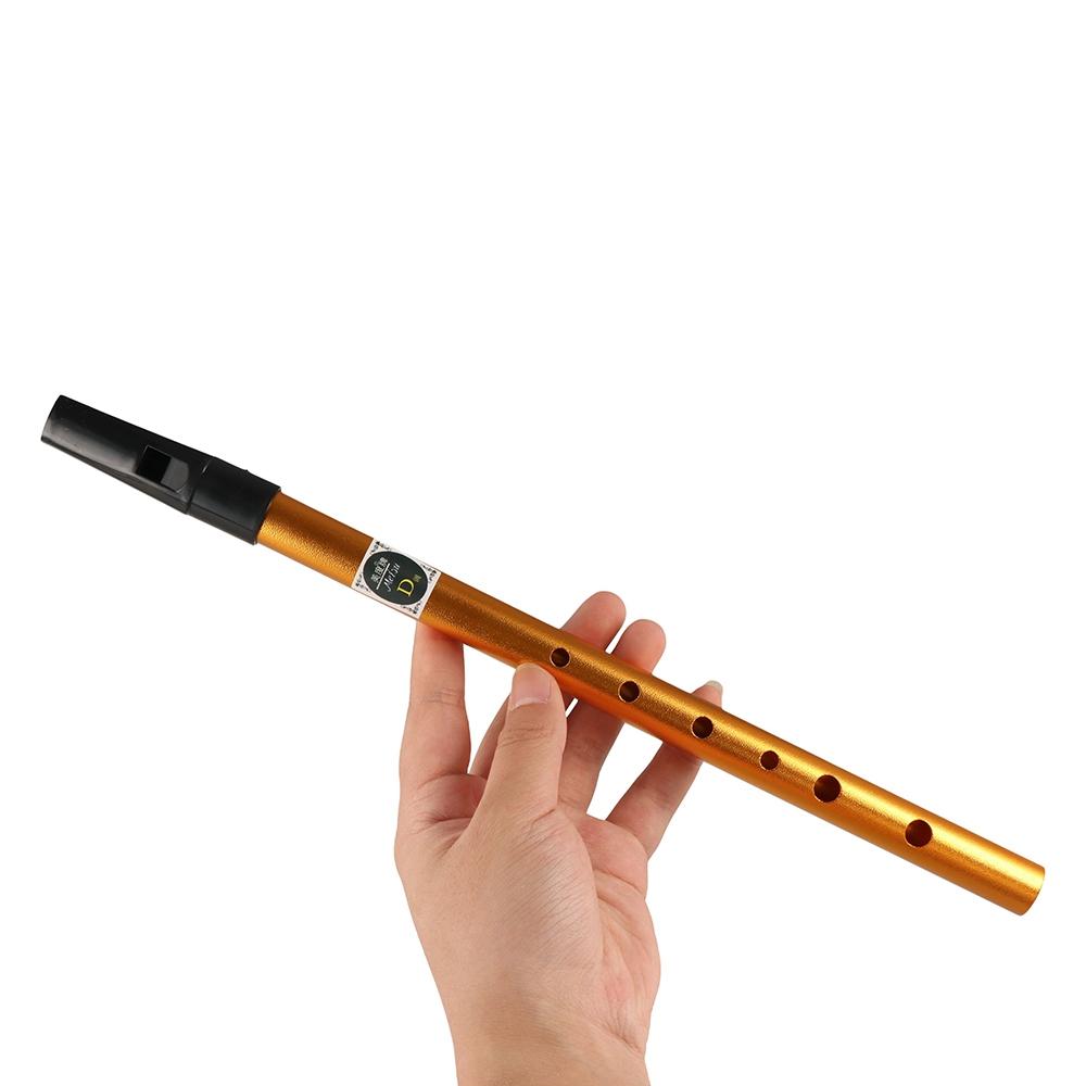 อุปกรณ์ดนตรี ขลุ่ยไอริช 6 รู ข - Musical Instrument Irish บทวิจารณ์และราคา