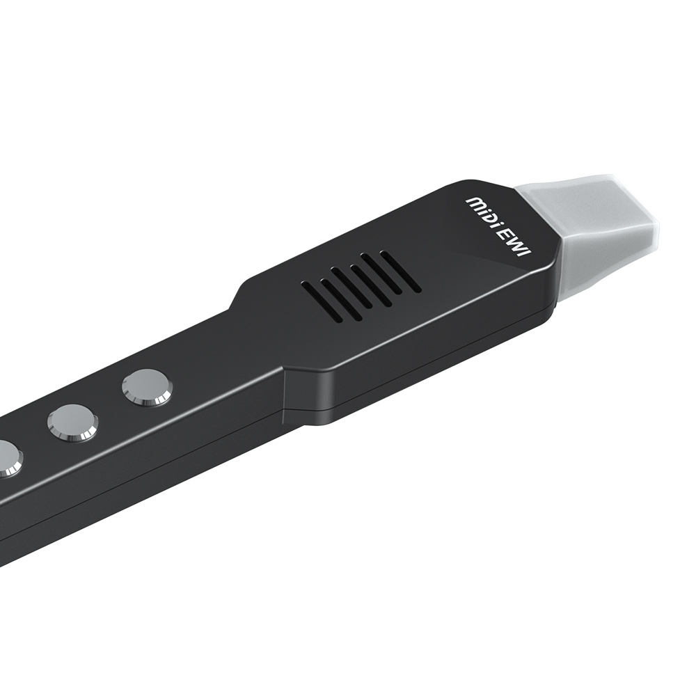 ขลุ่ยฟลุตขนาดเล็กแบบอิเล็กทรอน - Musical Instrument Irish บทวิจารณ์และราคา